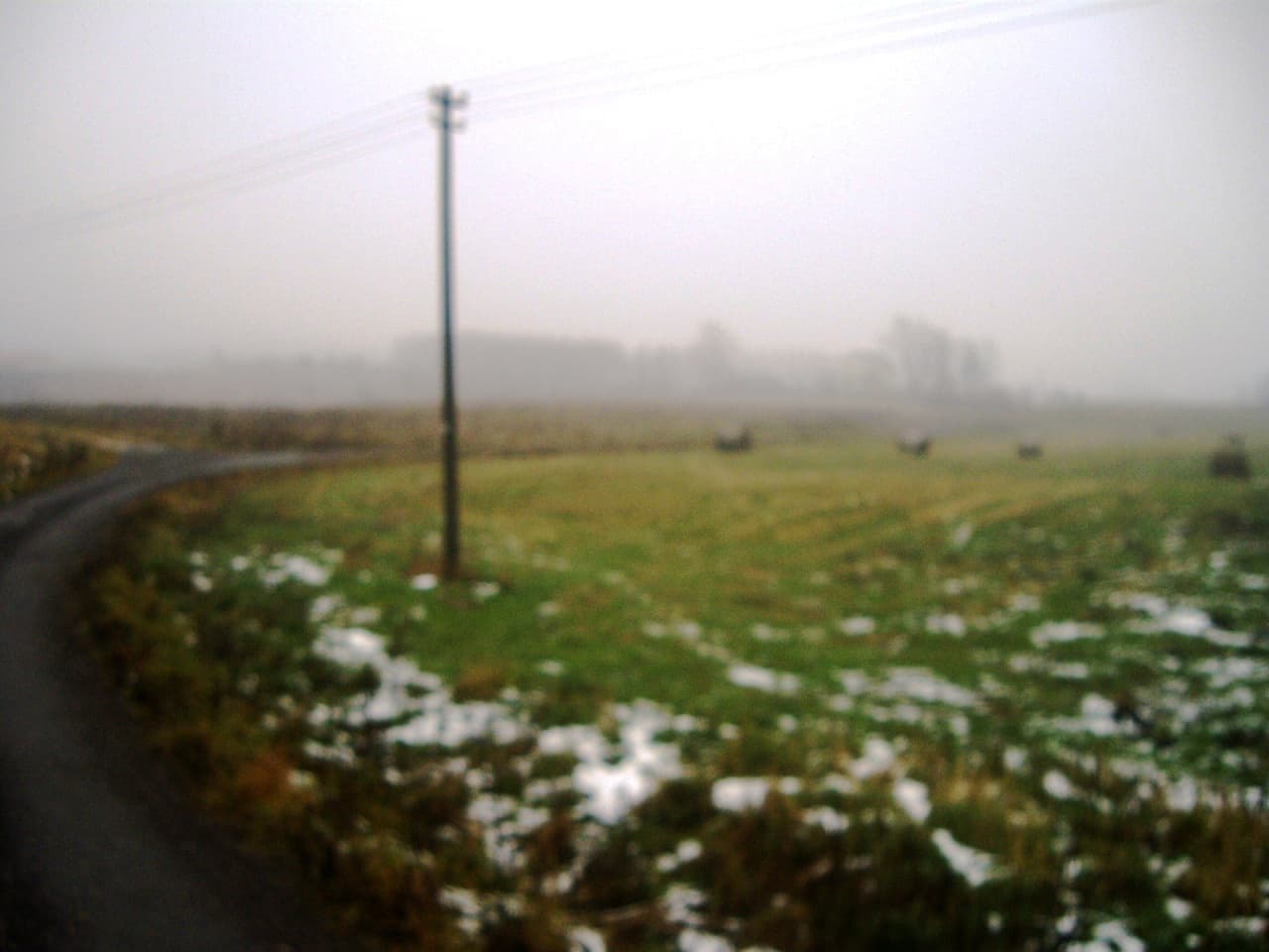 Du žemės sklypai Takniškių k., Alytaus raj., Pardavimui. Nuotrauka nr. 3