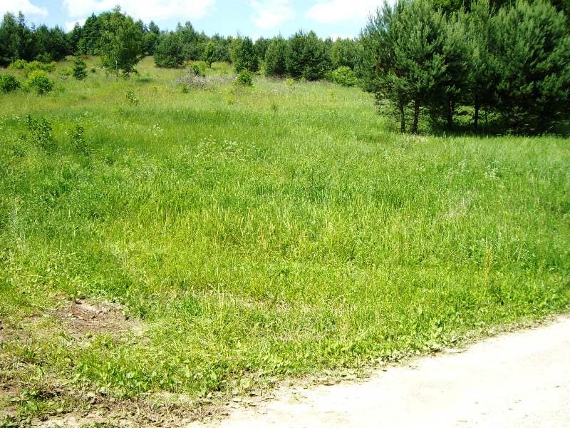 1,14 ha žemės sklypas Žaunieriškių k., Alytaus raj., Pardavimui