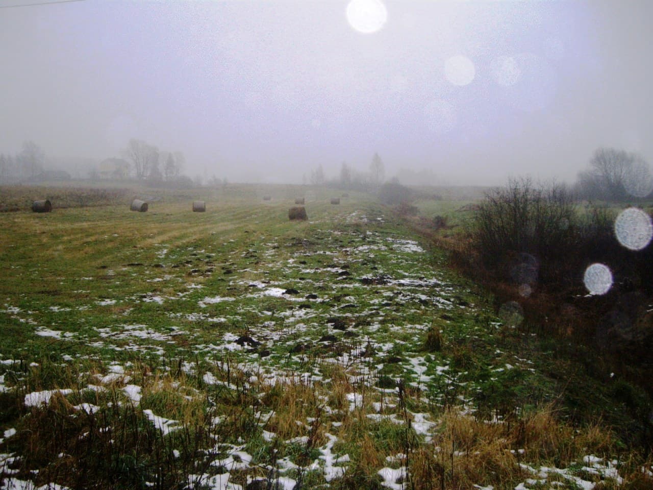 Du žemės sklypai Takniškių k., Alytaus raj., Pardavimui. Nuotrauka nr. 2