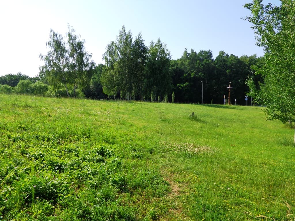 Sklypas daugiabučių statybai Alytuje, Statybininkų g., Pardavimui. Nuotrauka nr. 5