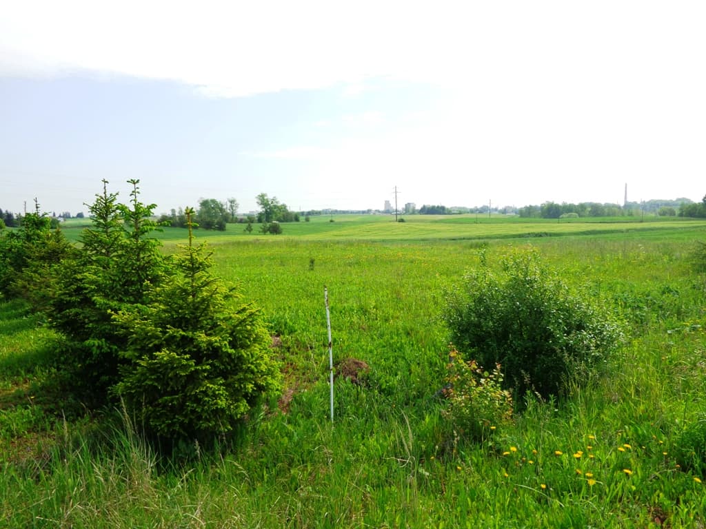 Namų valdos sklypai su komunikacijomis Užubalių k., Alytaus raj., Pardavimui. Nuotrauka nr. 5
