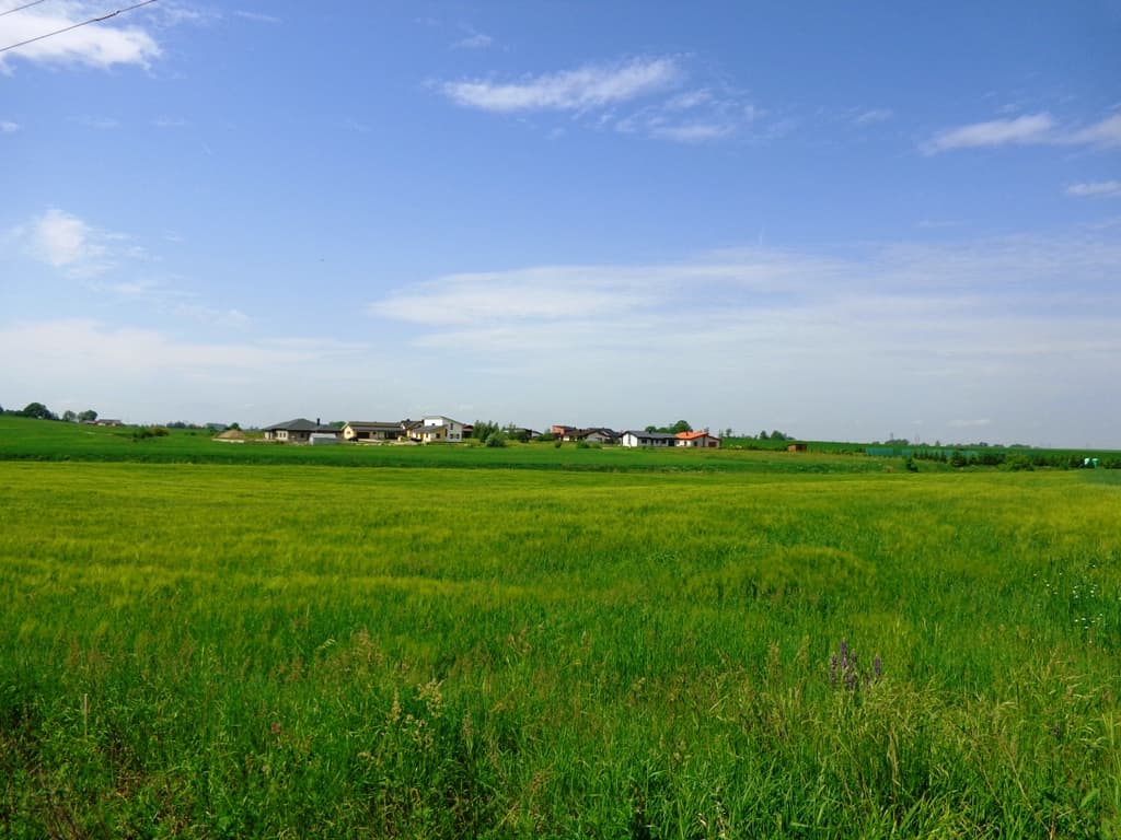 Namų valdos sklypai su komunikacijomis Užubalių k., Alytaus raj., Pardavimui. Nuotrauka nr. 10